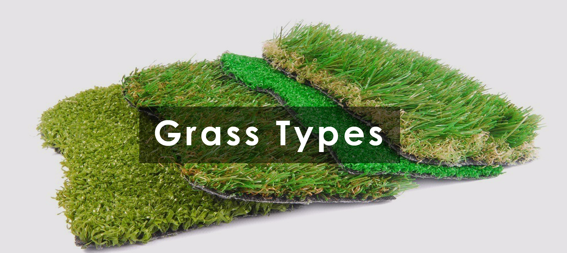Grass Types. 